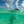 Swimming Away