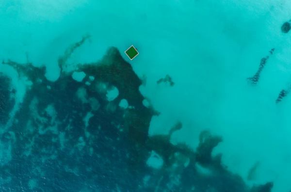 The Green Raft