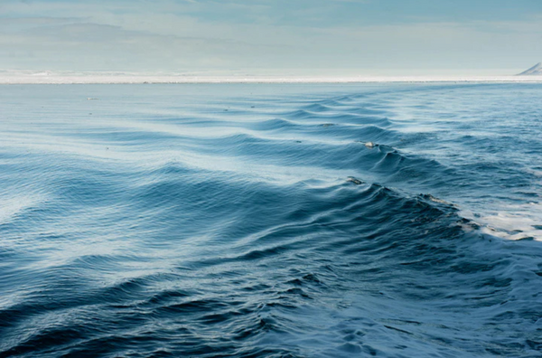 The Rolling Waves