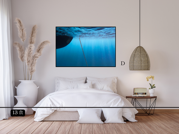 Blue Rays
