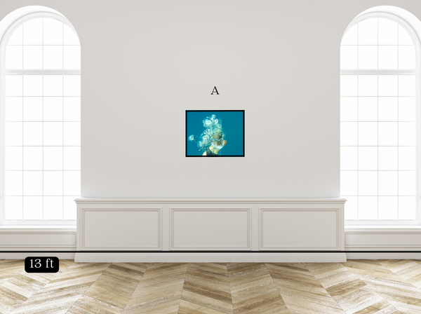 Bubbles in the Deep Blue Sea
