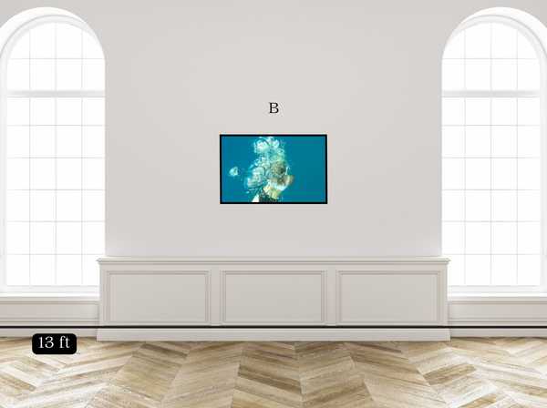 Bubbles in the Deep Blue Sea