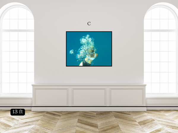 Bubbles in the Deep Blue Sea