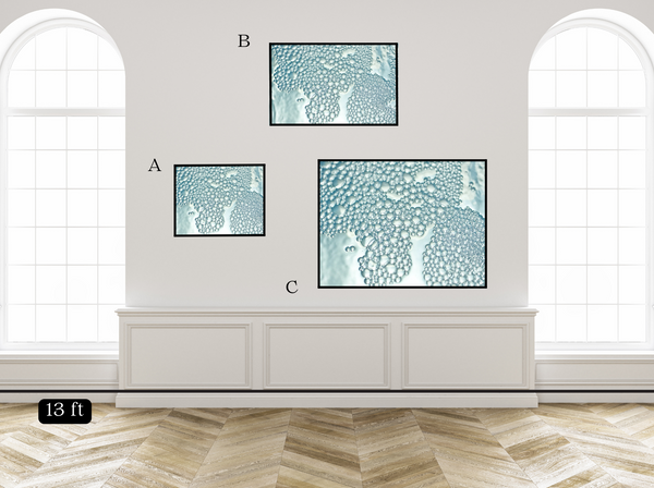 Bubbles I