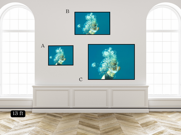 Bubbles in the Deep Blue Sea
