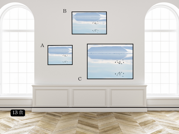 Reflecting Birds