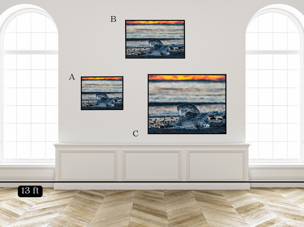 Fire and Ice II