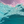 Cotton Candy