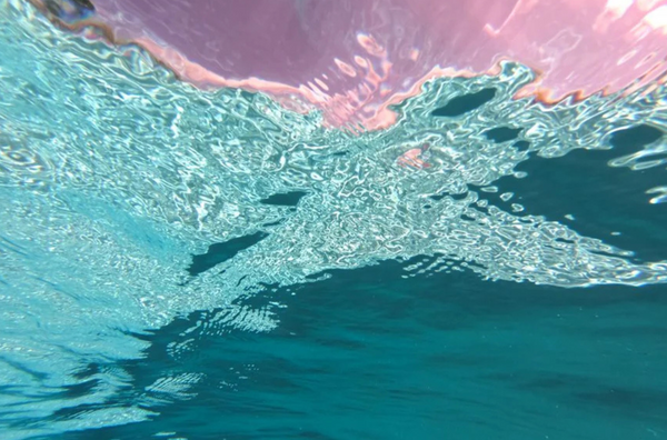 Cotton Candy