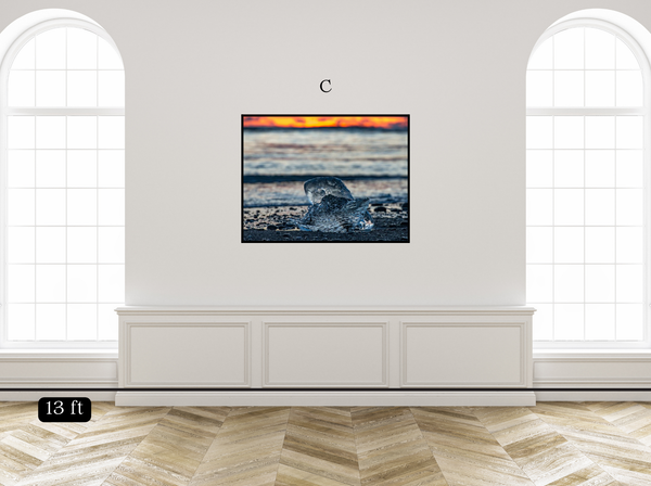 Fire and Ice II