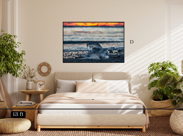 Fire and Ice II