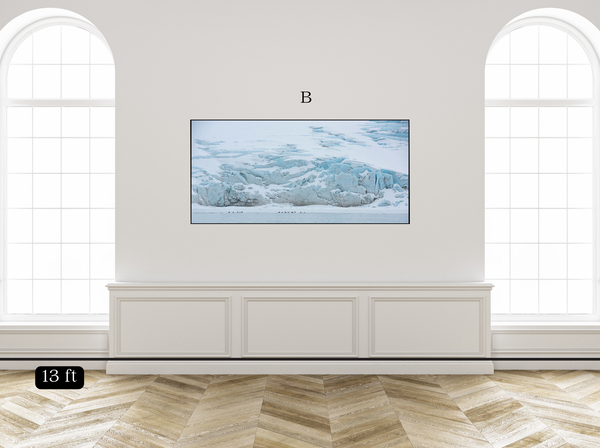 Glacier Birds
