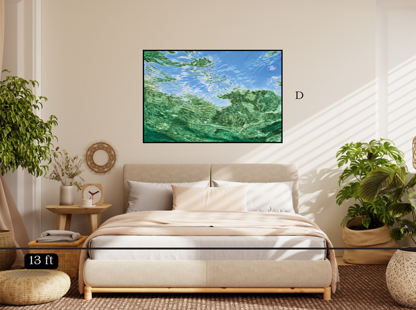 Reef Reflection 2