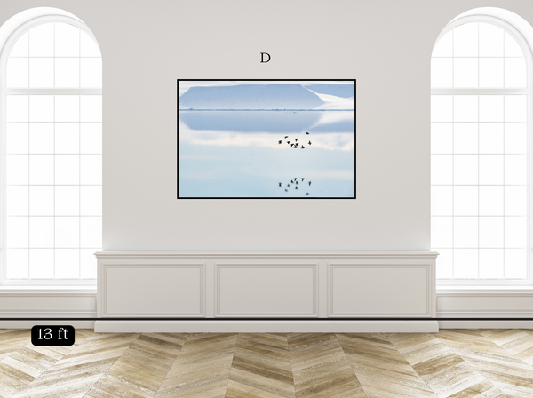 Reflecting Birds