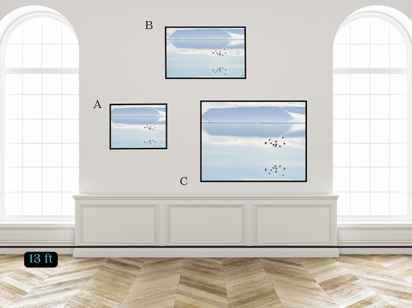 Reflecting Birds