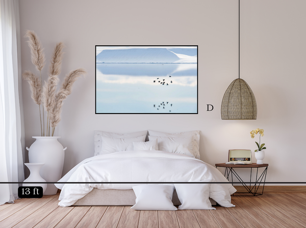 Reflecting Birds