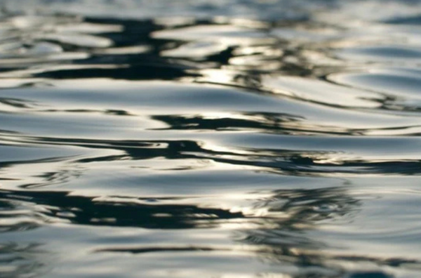 Late Day Reflections