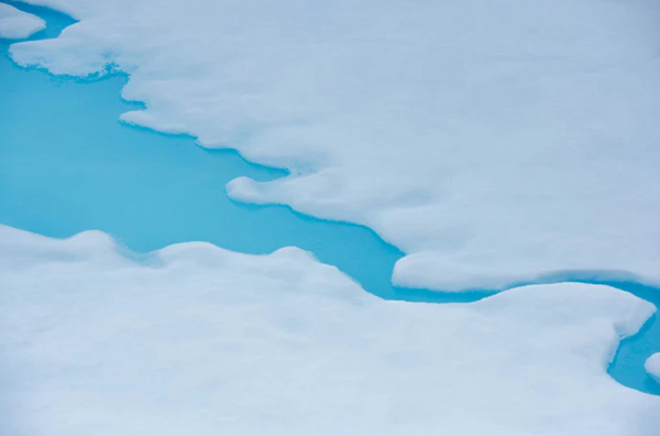 Melting Pond