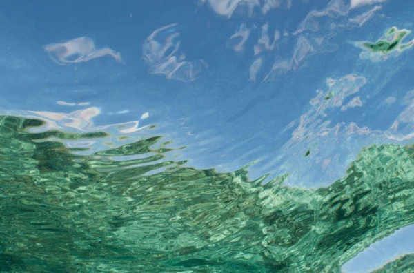 Reef Reflection 1