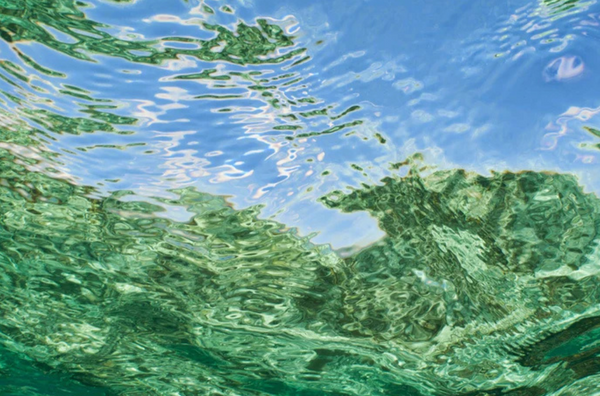 Reef Reflection 2