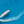 Roxanne from Above