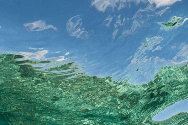 Reef Reflection 1