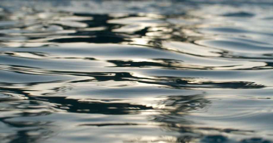 Late Day Reflections