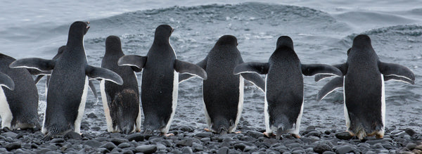 Lining Up