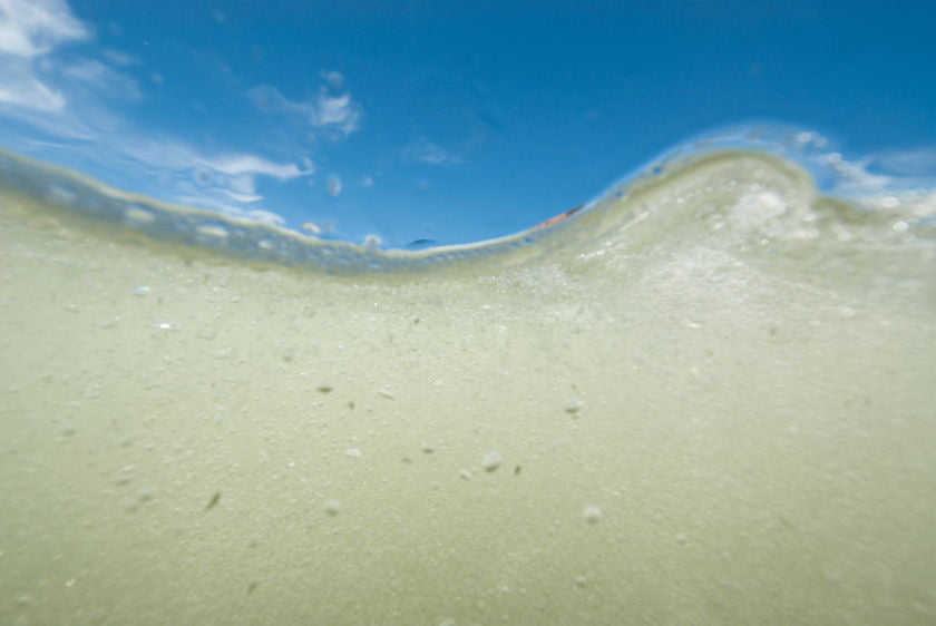 Inside the Wave