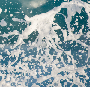 Splash Series of 6