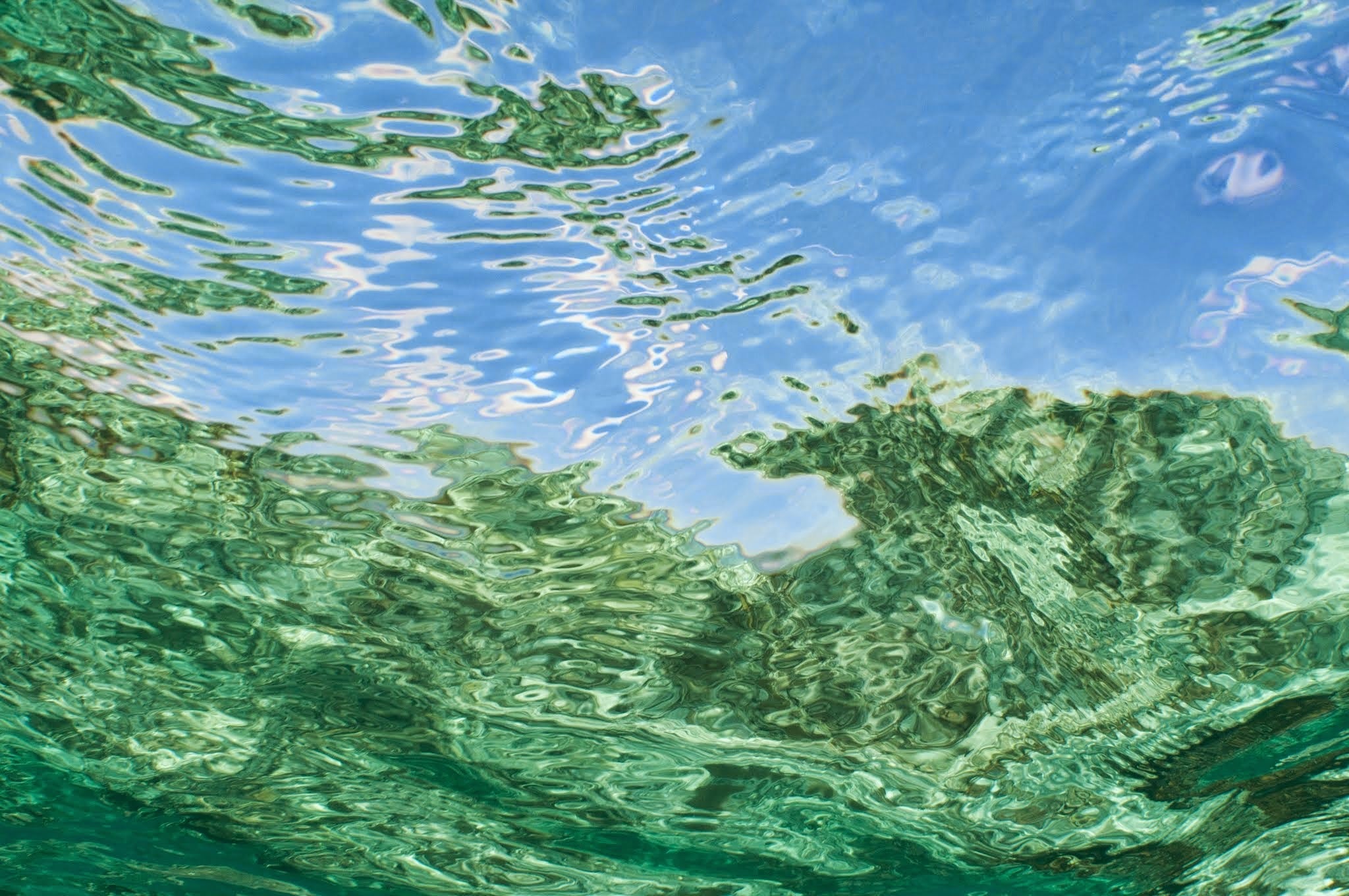 Reef Reflection 2